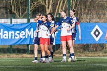 Bild 267 - wBJ Hamburger SV - Hertha BSC : Ergebnis: 2:1
